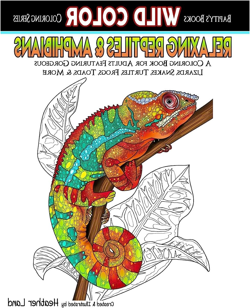 s k=reptile coloring book