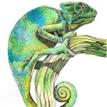 Coloriage Caméléon Frais Chameleon Fine Art Print Etsy Chameleon Art Animal Art Art Prints