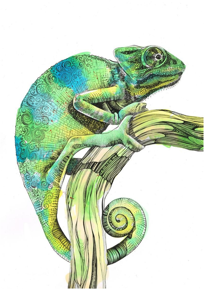 chameleon fine art print etsy