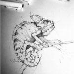 Coloriage Caméléon Génial Illustration Inspo 3 Sketches Animal Drawings Chameleon Art