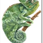 Coloriage Caméléon Nice Chameleon Art Print Wall Decor Abstract Watercolor Painting Zoltemikolaje Home Amp
