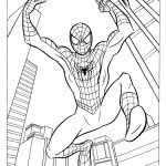 Coloriage Coloriage Spiderman Nice Free Printable Spiderman Coloring Pages For Kids