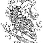 Coloriage De Mandala Animaux A Imprimer Gratuit Nice Coloriage Oiseau Mandala Toucan Zentangle Adulte Jecolorie