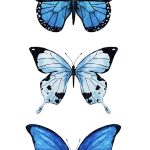 Coloriage De Papillon Coloré Élégant Pin By Julia Van Der Werf On Paintings Butterfly Art Painting Butterfly Wall Ar