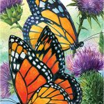 Coloriage De Papillon Coloré Frais Home And Garden 12x18ampquot Wel E Flag Banner Flower Butterfly Double Sided Garden Ya