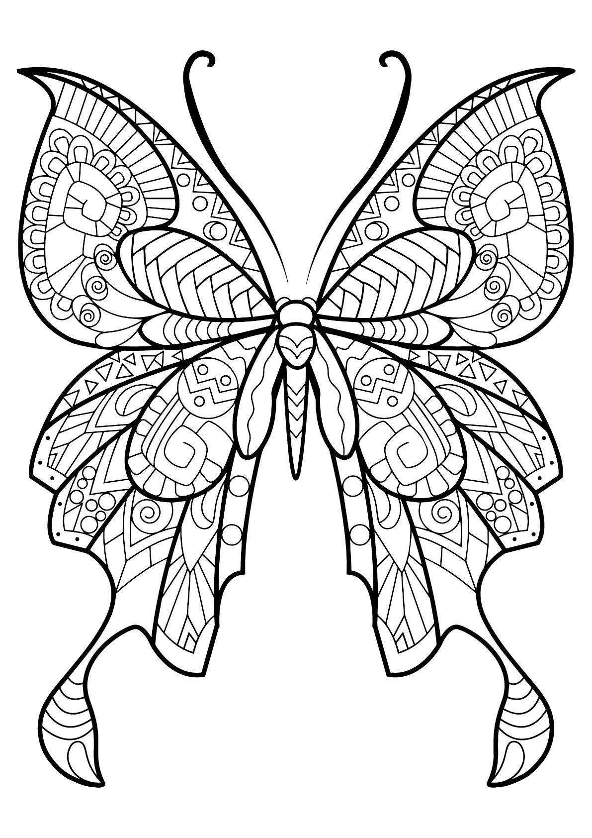 image=papillons coloriage papillon motifs 8 1