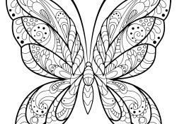 Coloriage De Papillon Nice Image De Papillons à Imprimer Et Colorier Coloriages De Papillons