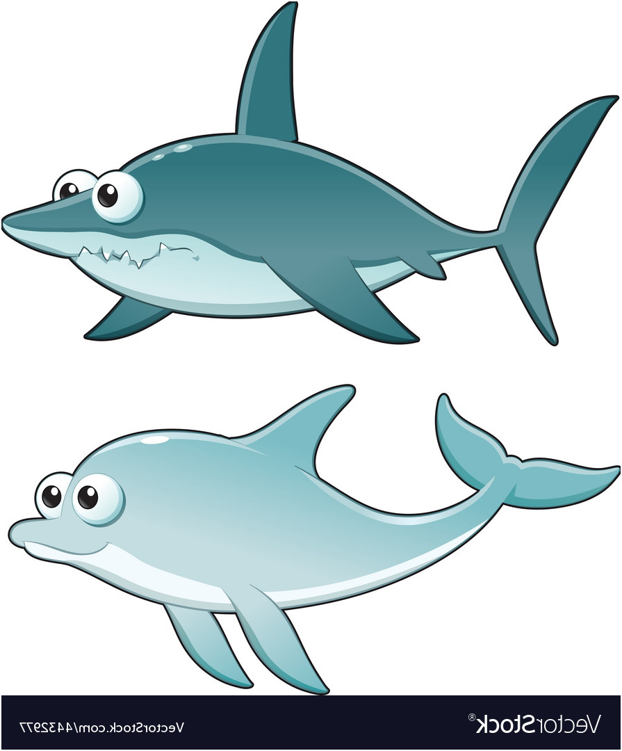 dolphin and shark vector