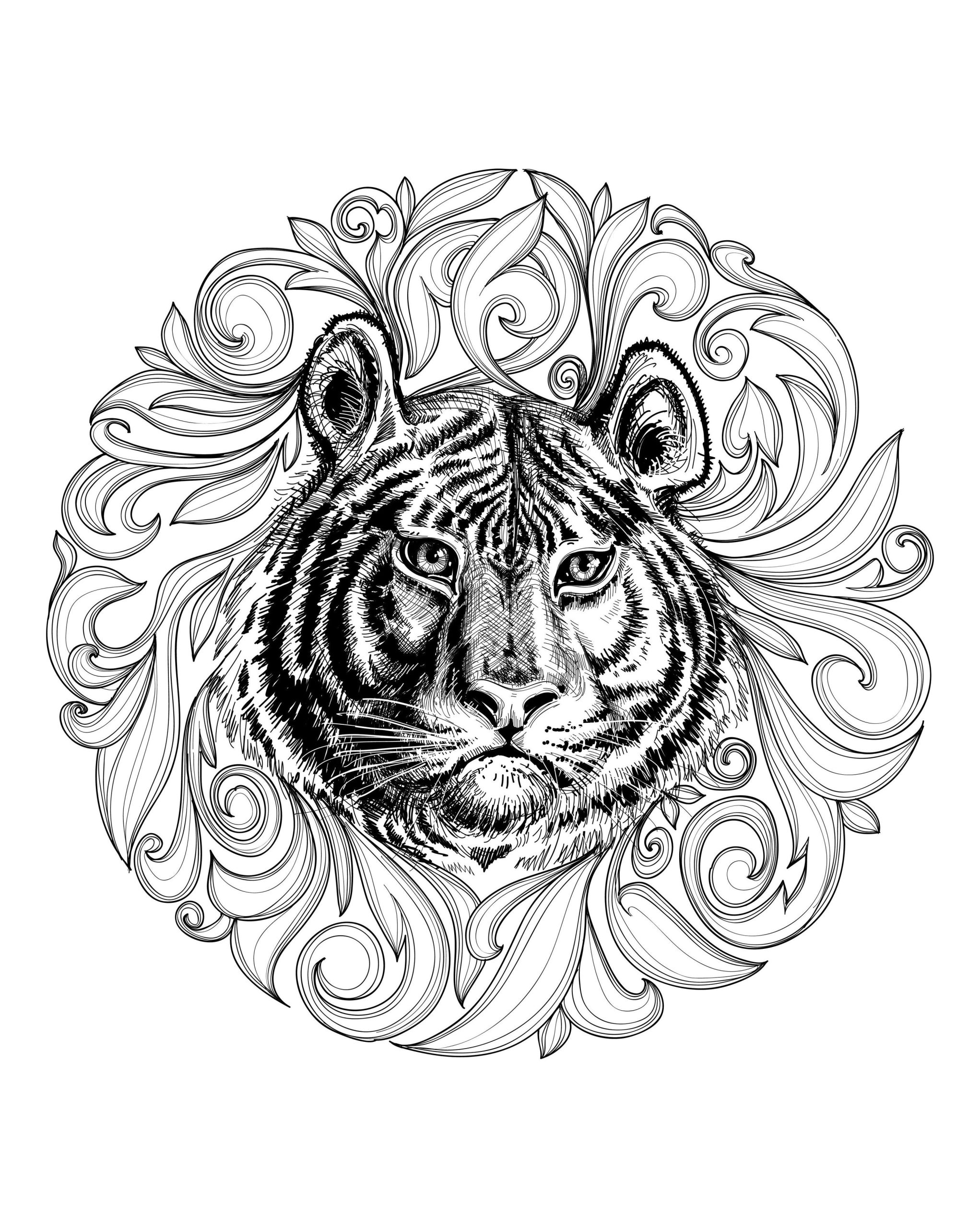 difficile coloriage tigre mandala