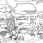 Coloriage Animaux Marins Luxe Dessin Animaux Marins Animaux à Colorier – Coloriages à Imprimer
