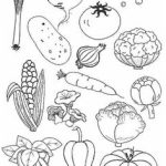 Coloriage Arcimboldo Fruits Nice 14 Idées De Arcimboldo