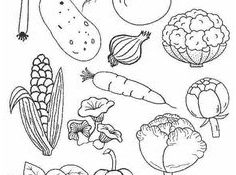 Coloriage Arcimboldo Fruits Nice 14 Idées De Arcimboldo