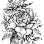 Coloriage Bisounours à Imprimer Gratuit Frais Disegni Di Fiori A Matita Sfumature Sulle Foglie Rose Drawing Tattoo Beautiful