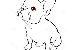 Coloriage Bouledogue Élégant Illustration About Bulldog Dog Animal French Vector Illustration Pet