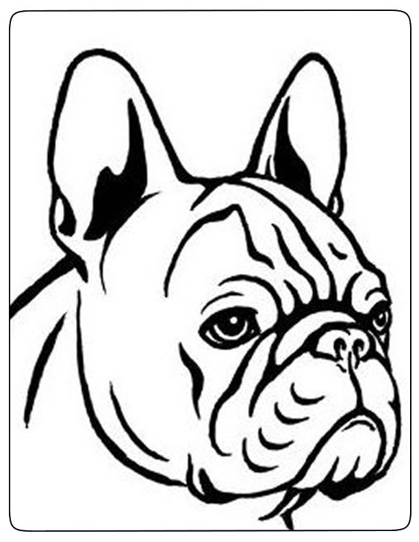 dessin de chien bouledogue chien