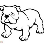 Coloriage Bouledogue Génial English Bulldogs With Puppy Coloring Page