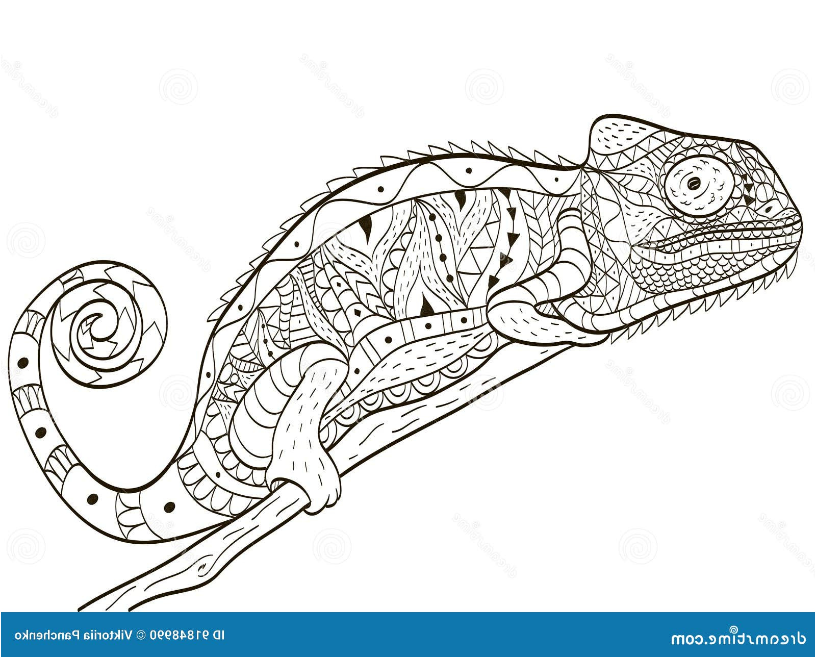 illustration stock vecteur de livre de coloriage de caméléon pour des adultes image