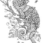 Coloriage Cameleon Mandala Génial Livre De Coloriage De Caméléon Pour Le Vecteur D Adultes Illustration