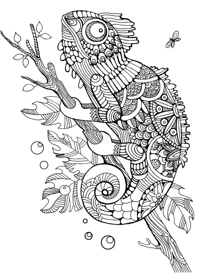 illustration stock livre de coloriage de caméléon pour le vecteur d adultes image