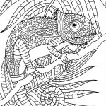 Coloriage Cameleon Mandala Unique 11 Inspirant De Mandala Cameleon Collection Coloriage Coloriage