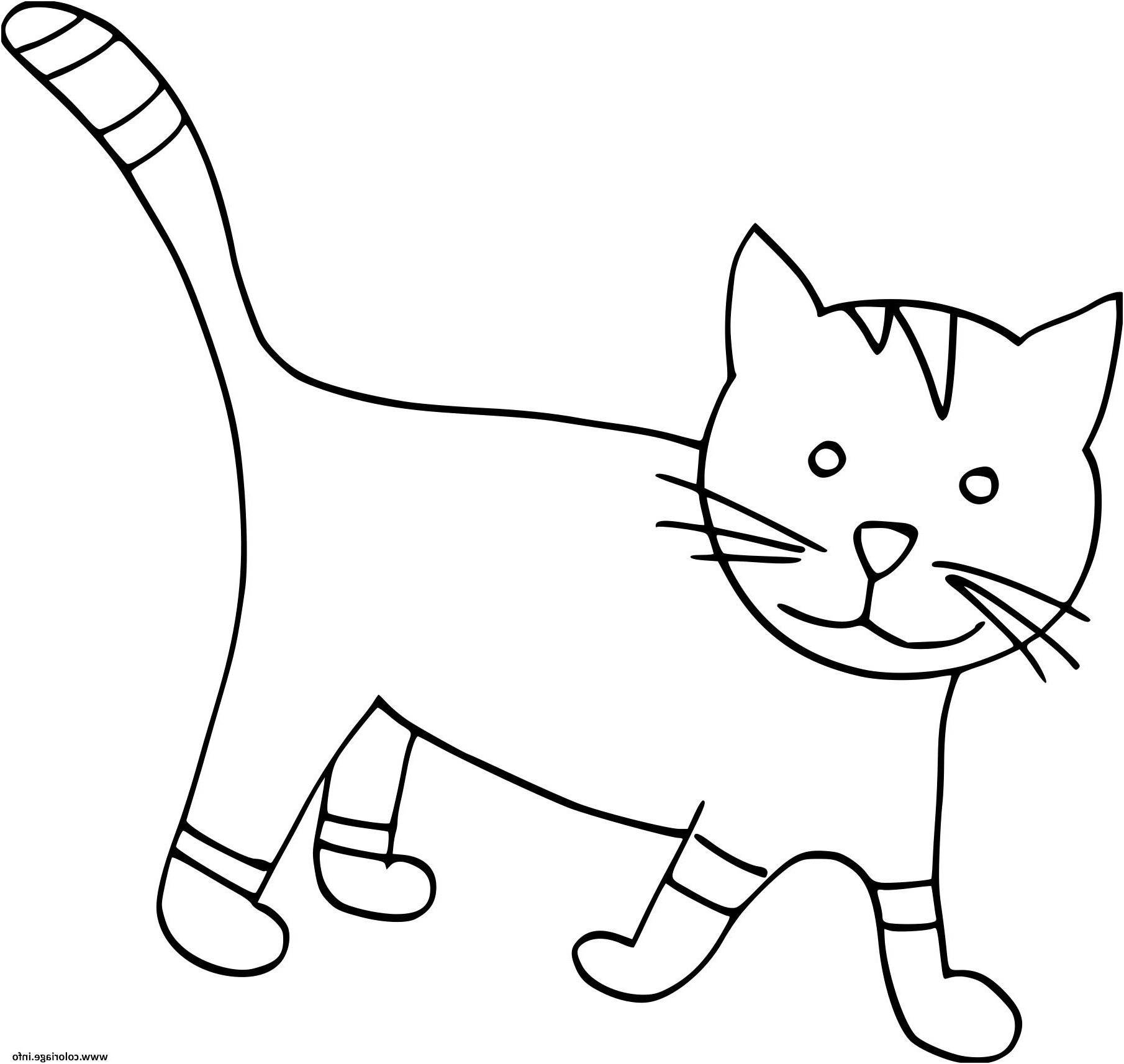 7 dessin de chat facile imprimer