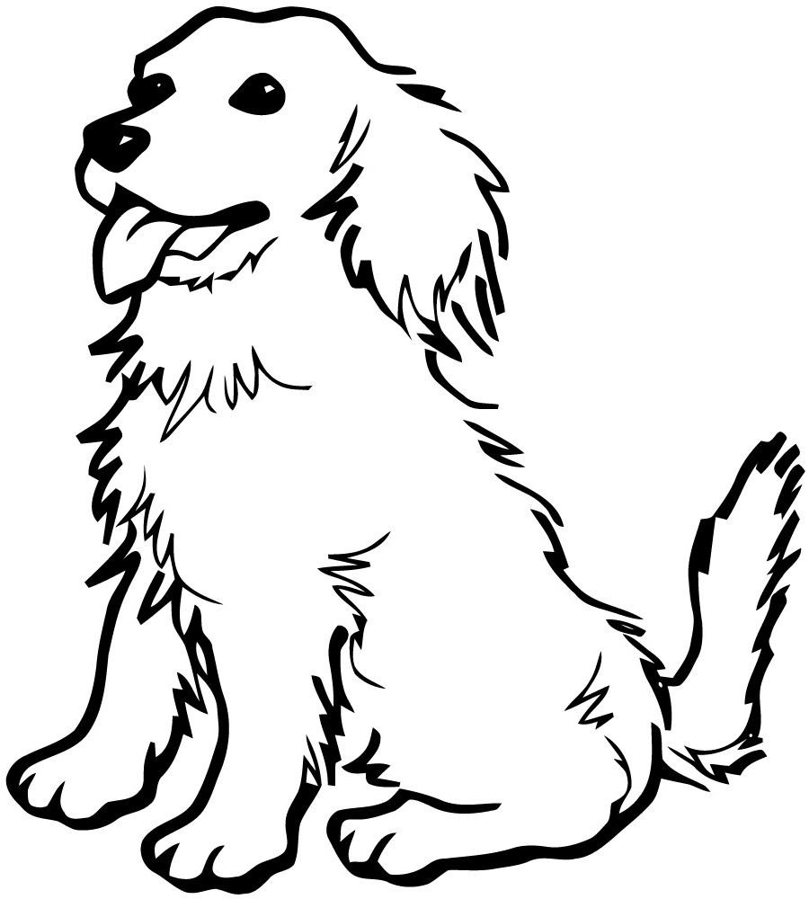 dessin de bebe chien inspirant image coloriage chien a colorier dessin a imprimer