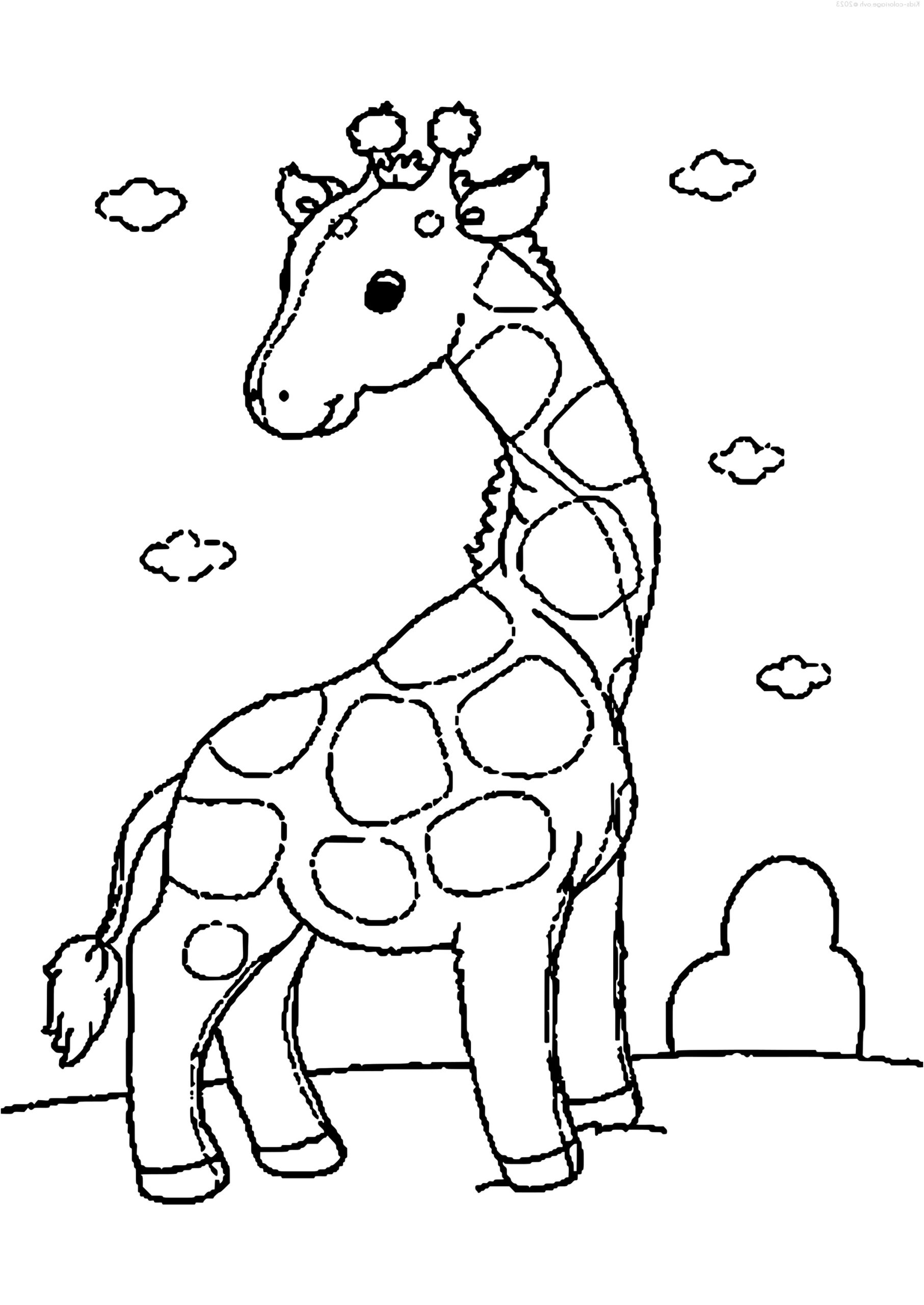 girafe 10