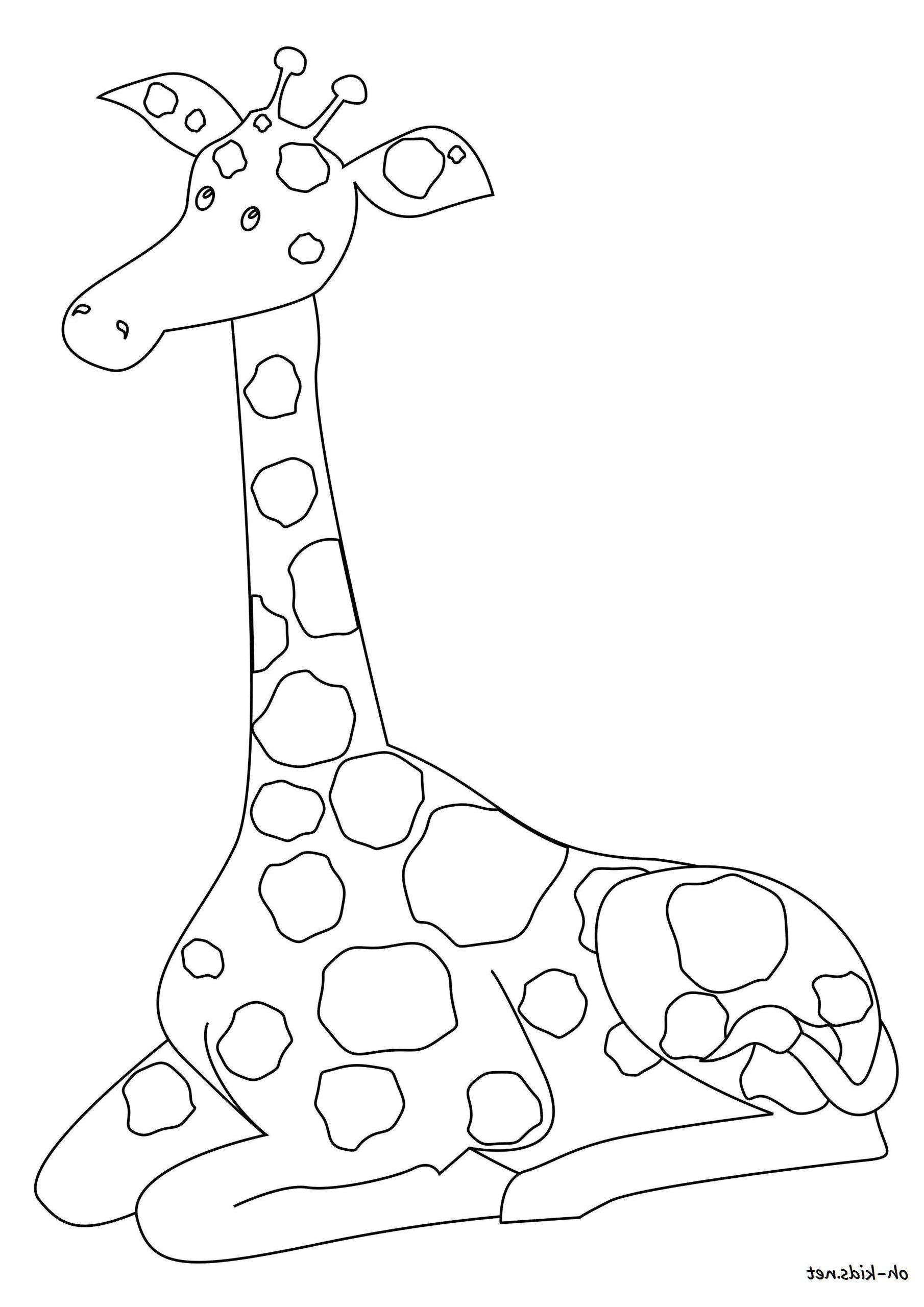 dessin de girafe imprimer 114 dessins