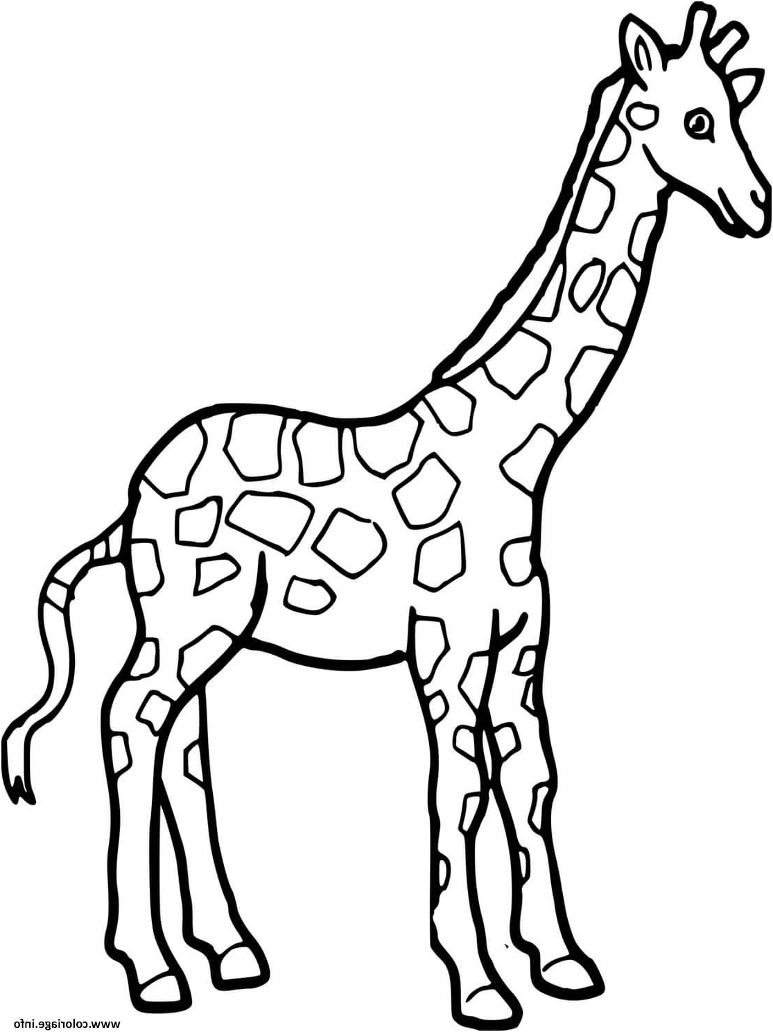 une girafe a colorier coloriage
