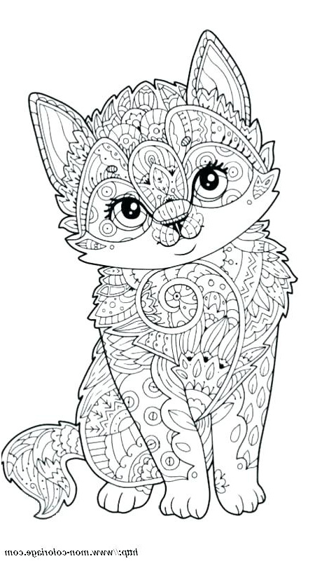 dessin de chat en mandala