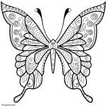Coloriage De Papillon Difficile Nice Coloriage Papillon Jolis Motifs 4 Dessin Adulte Papillon à Imprimer