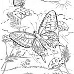 Coloriage De Papillon Difficile Nouveau Coloriage Papillon Difficile Dans La Nature Dessin Gratuit à Imprimer