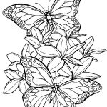 Coloriage De Papillon En Ligne Nice Coloriage Papillon Gratuit à Imprimer