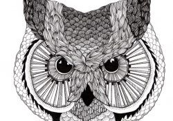 Coloriage De Rentrée Cycle 3 Nice Jess Stokes for the Rise and Fall Owl Illustration Owl Owl Art