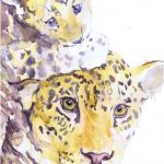 Coloriage Diego Et Bébé Jaguar Génial Jaguar Art Print Watercolor Safari Nursery Decor Leopard Baby Etsy In 2021 Leopa