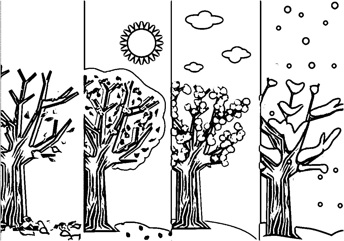 four seasons colouring page