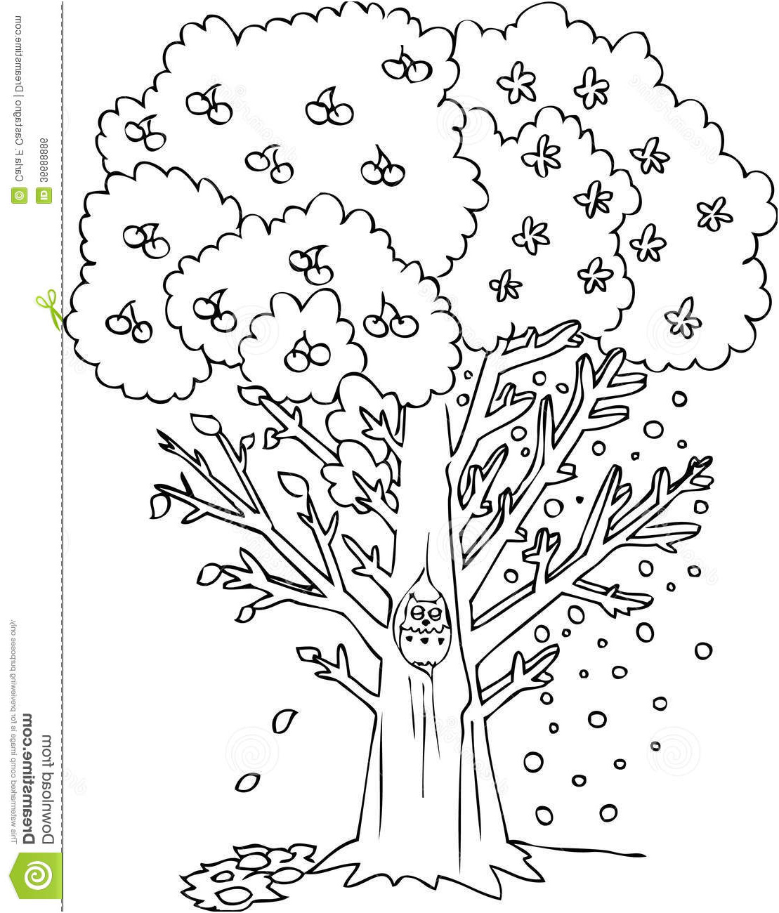 post of an apple tree seasons printable worksheet