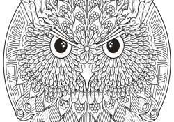 Coloriage à Numéro Adulte à Imprimer Luxe Pin by Cristina Ruiz On Pintura Y Dibujo Mandala Coloring Pages Owl Coloring Pa