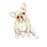 Coloriage Bouledogue Français Luxe French Bulldog Tan Limited Edition Print 85×11 Watercolor Etsy