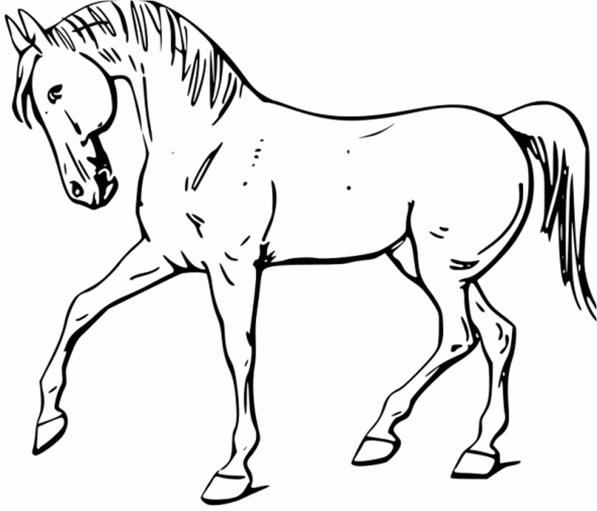 fun horse coloring pages kids