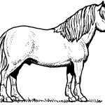 Coloriage Chevaux Inspiration Free Horse Coloring Pages