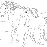 Coloriage Chevaux Luxe Coloring Horse Coloring Pictures