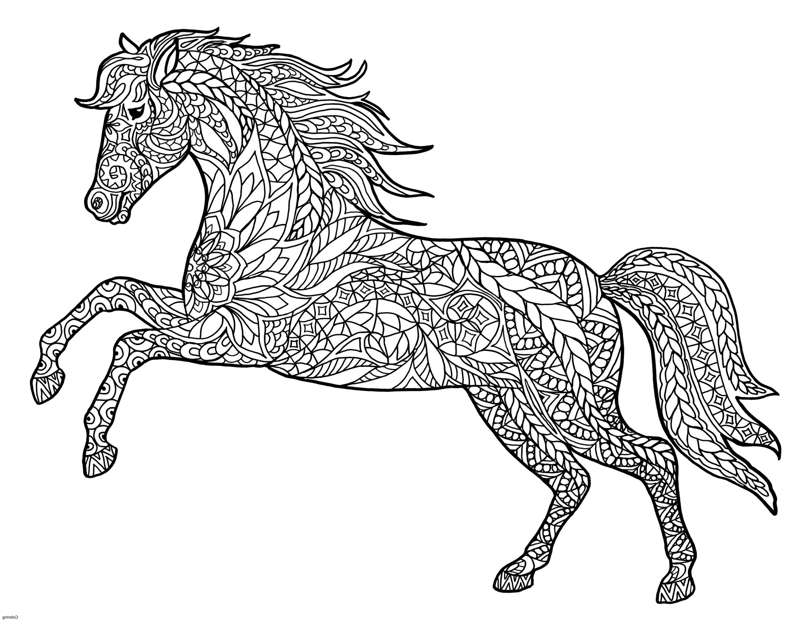 Mandala Horse