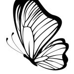 Coloriage De Papillon Facile Meilleur De Papillon Dessin Recherche Google