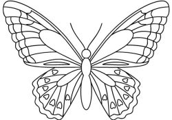 Coloriage De Papillon Facile Nouveau Papillon Dessin Recherche Google