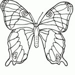 Coloriage De Papillon Gratuit Luxe Papillon Dessin Recherche Google