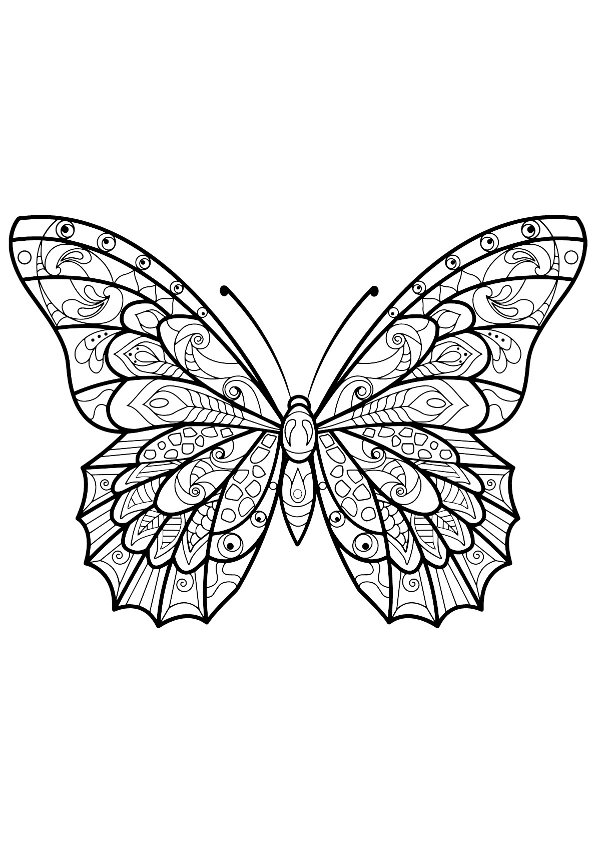 image=papillons coloriage papillon motifs 3 1