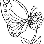 Coloriage De Papillon Gratuit Unique Dessin Kawaii Dessin A Colorier Et Imprimer Papillon