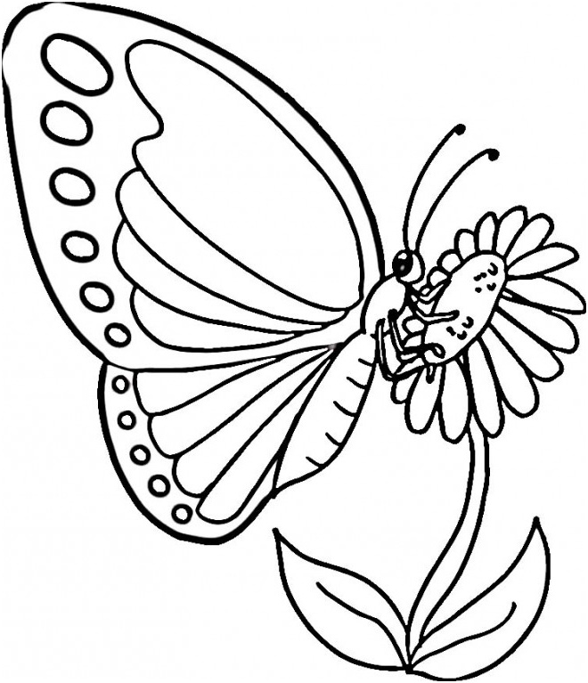 dessin colorier et imprimer papillon