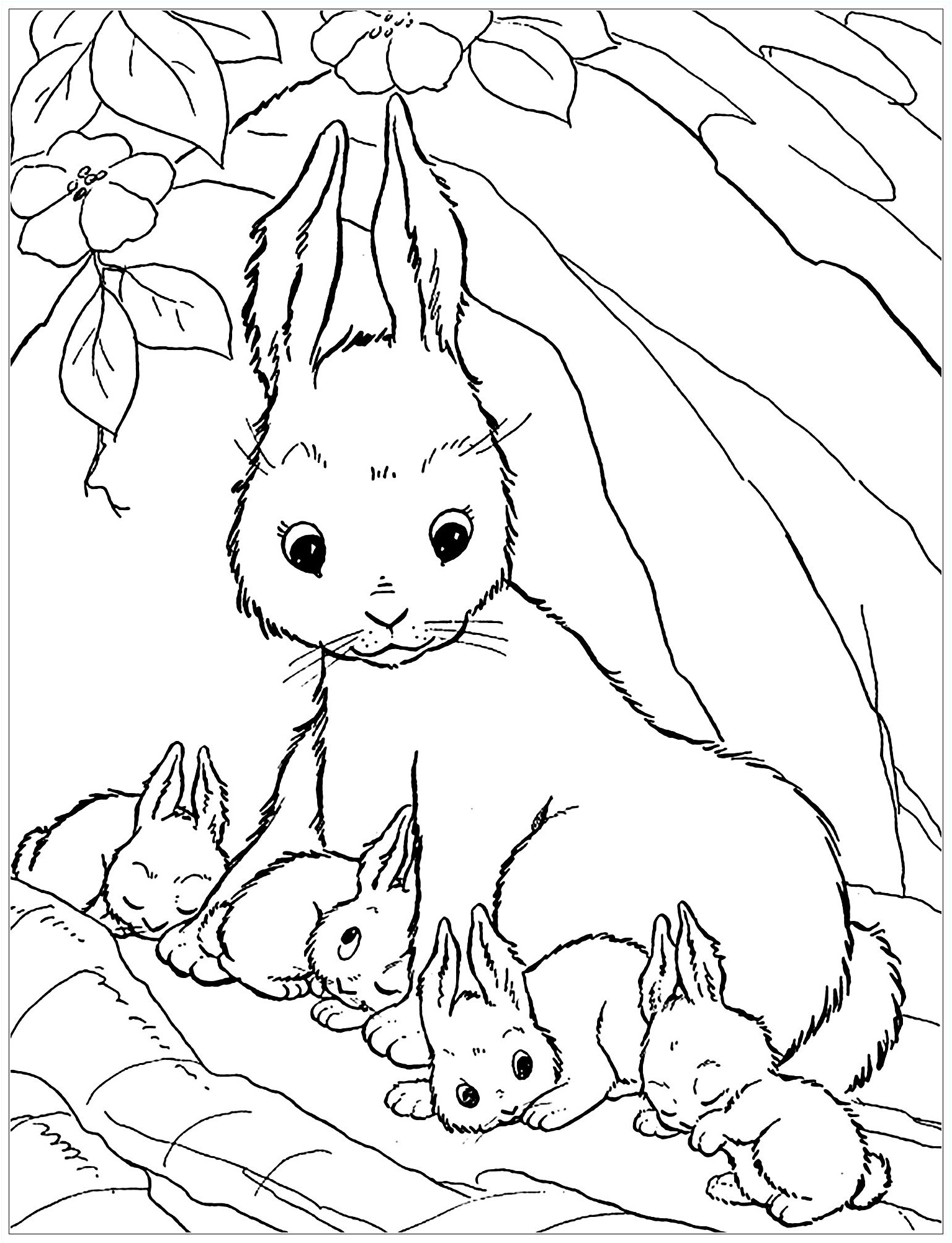 coloriage lapin bestof photos doudou lapin coloriage de lapins coloriages pour enfants